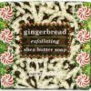 Soyworx Proudly Offers Gingerbread Exfoliating Soaps by Greenwich Bay Trading Company